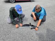 ops-gagak-3