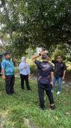 lwtn-tapak-rasa-3