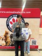 cat-adoption-5