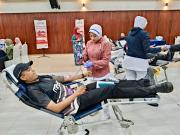 derma-darah-7